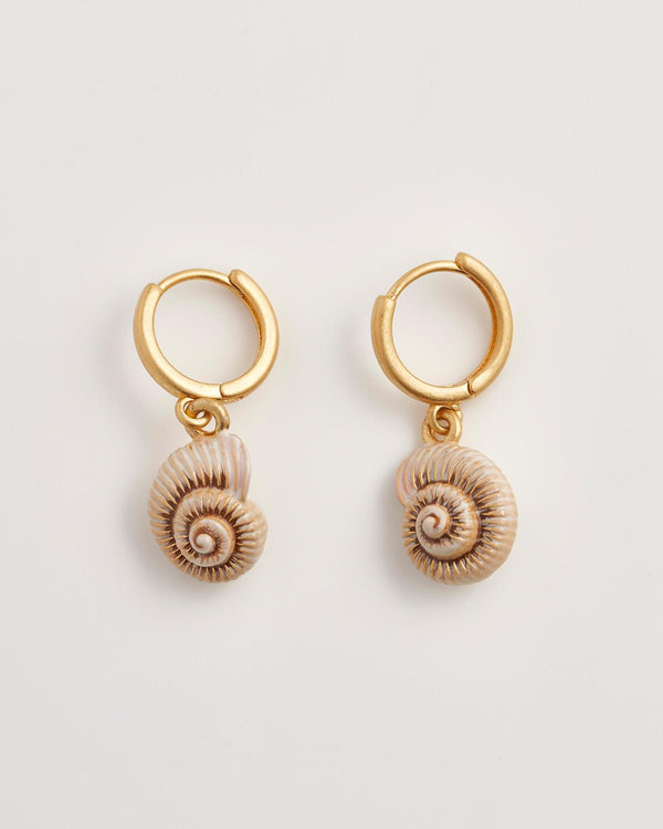 Meeresschneckenhaus Ohrringe in Gold